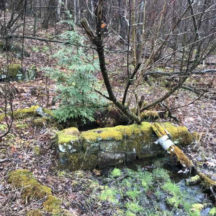 Near Benedict Pond Road/Snowmobile SF 50