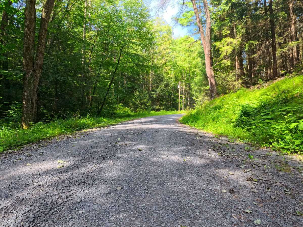 Krise Valley Road trail photo
