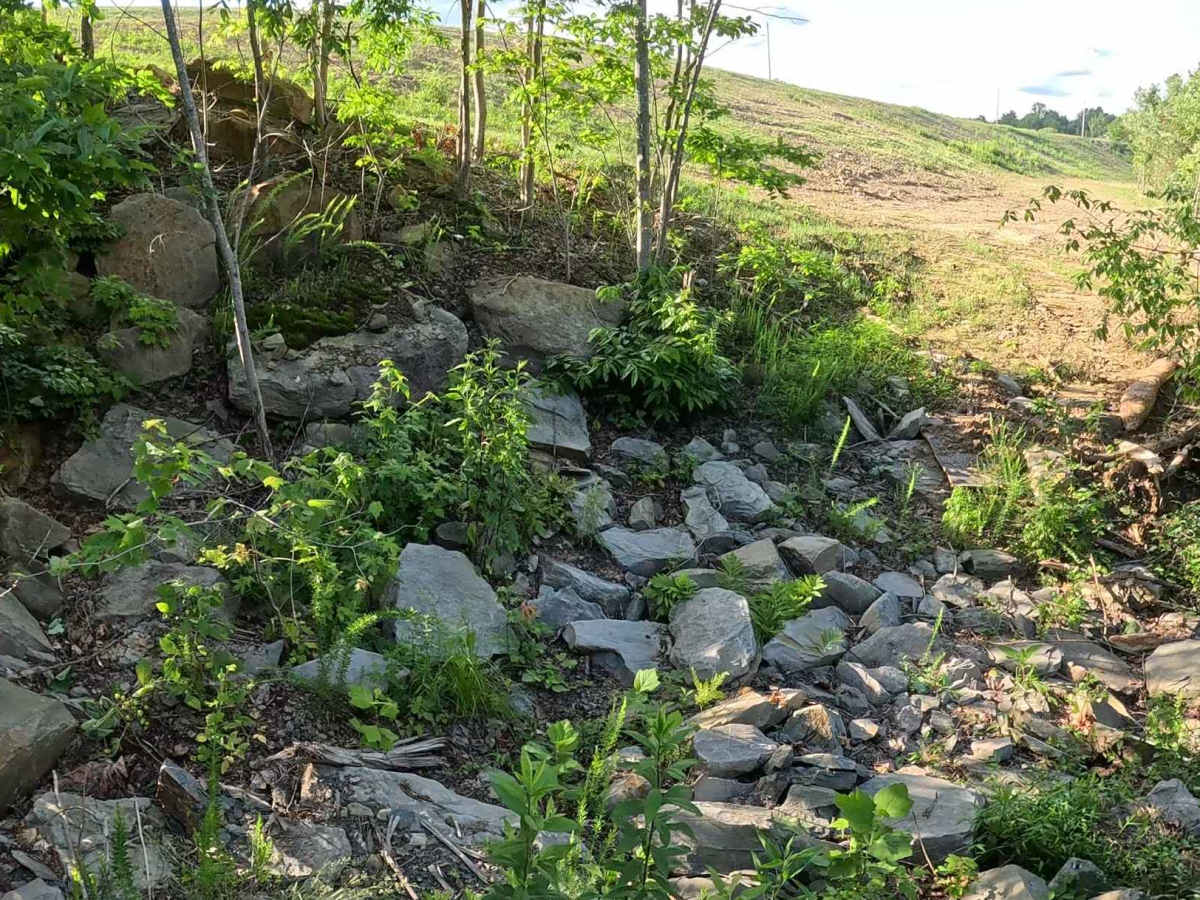 Q25A trail photo
