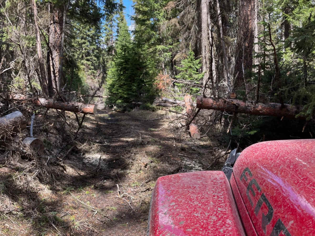 Woods Lake to Jimmy Lake photo 3