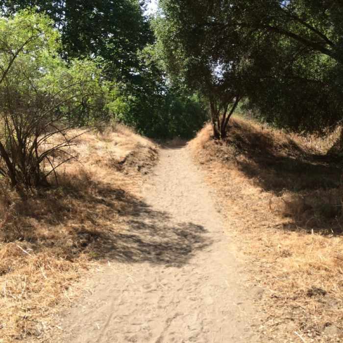 Near Santa Margarita River Trail