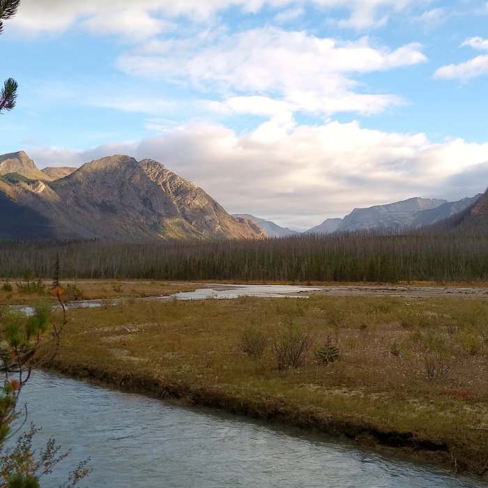 Near Moose River Route: Moose River to Resplendent Crossing