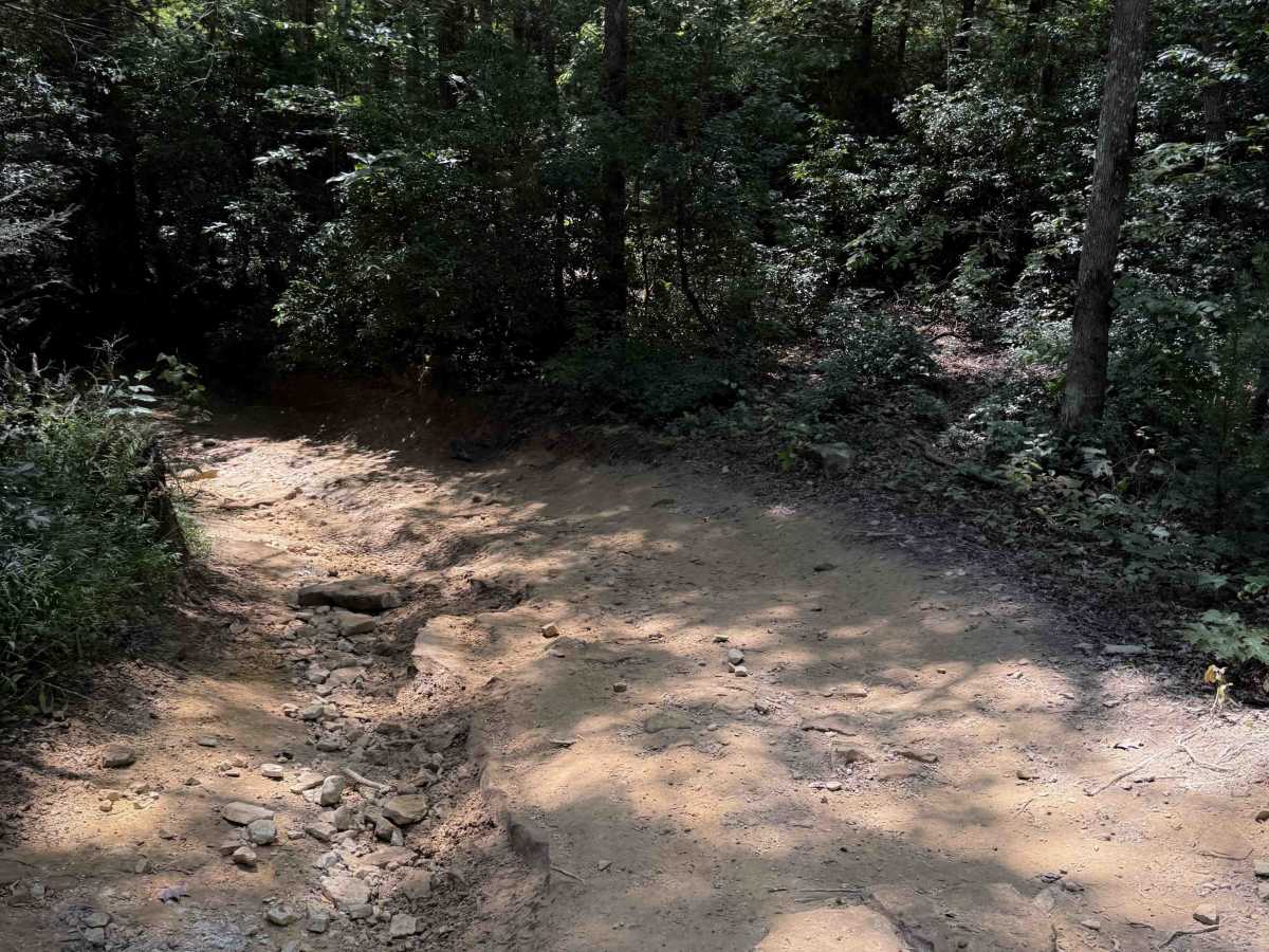 Tram Branch Trail photo 5