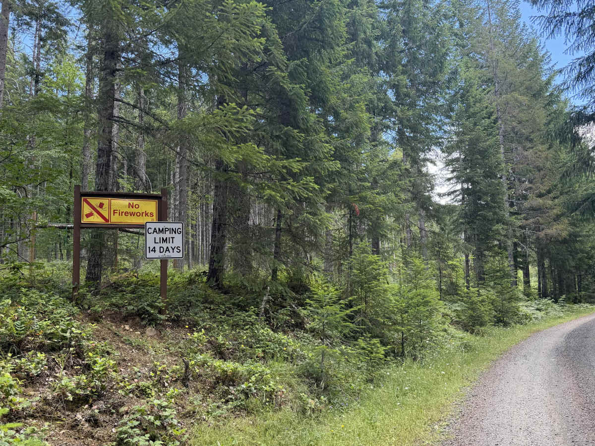 Lake Creek - FS 1266000 trail photo