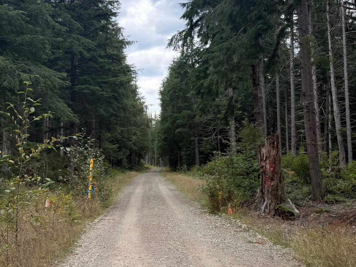 FRQ 1200 trail photo