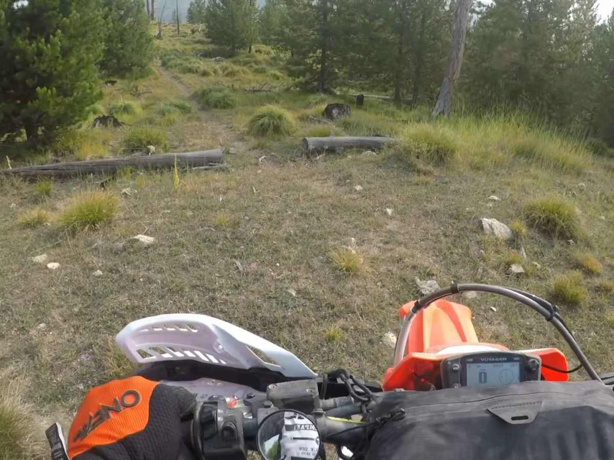 FS 504 trail photo