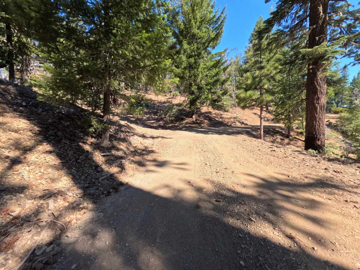 Board Camp Ridge - FS 17N10 photo 5