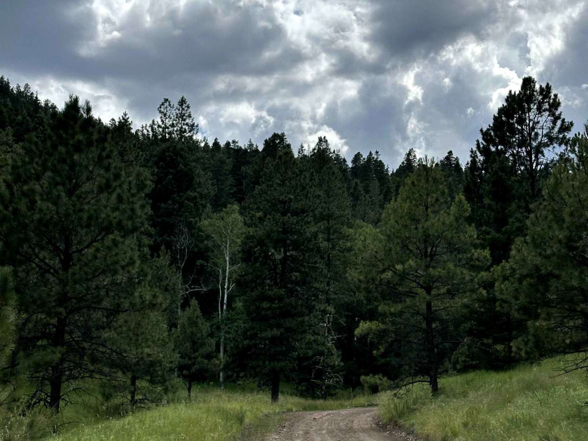 Spring Canyon photo 4