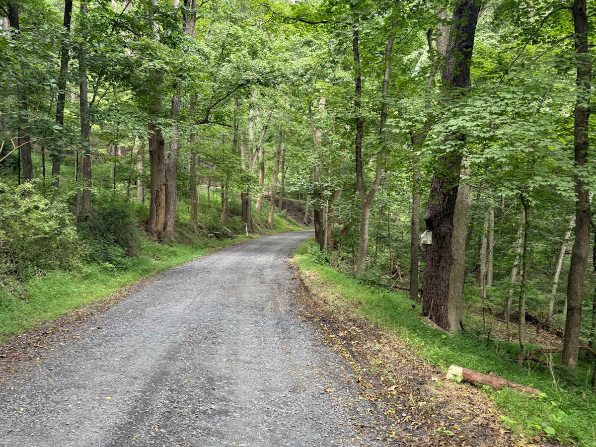 Smithtown Road photo 3