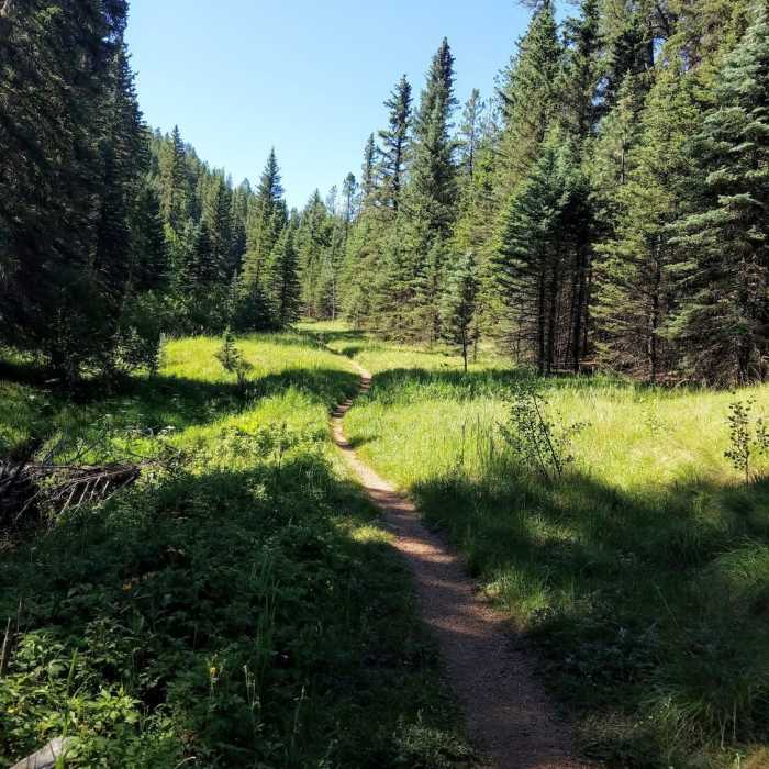 Near Mule Creek Trail