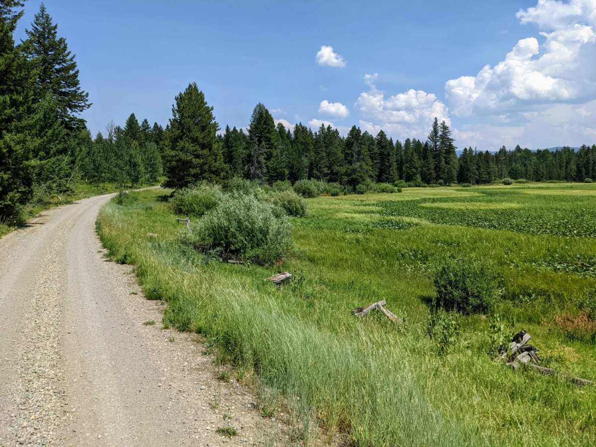 Jackass Loop Trail (FS 264) photo 2