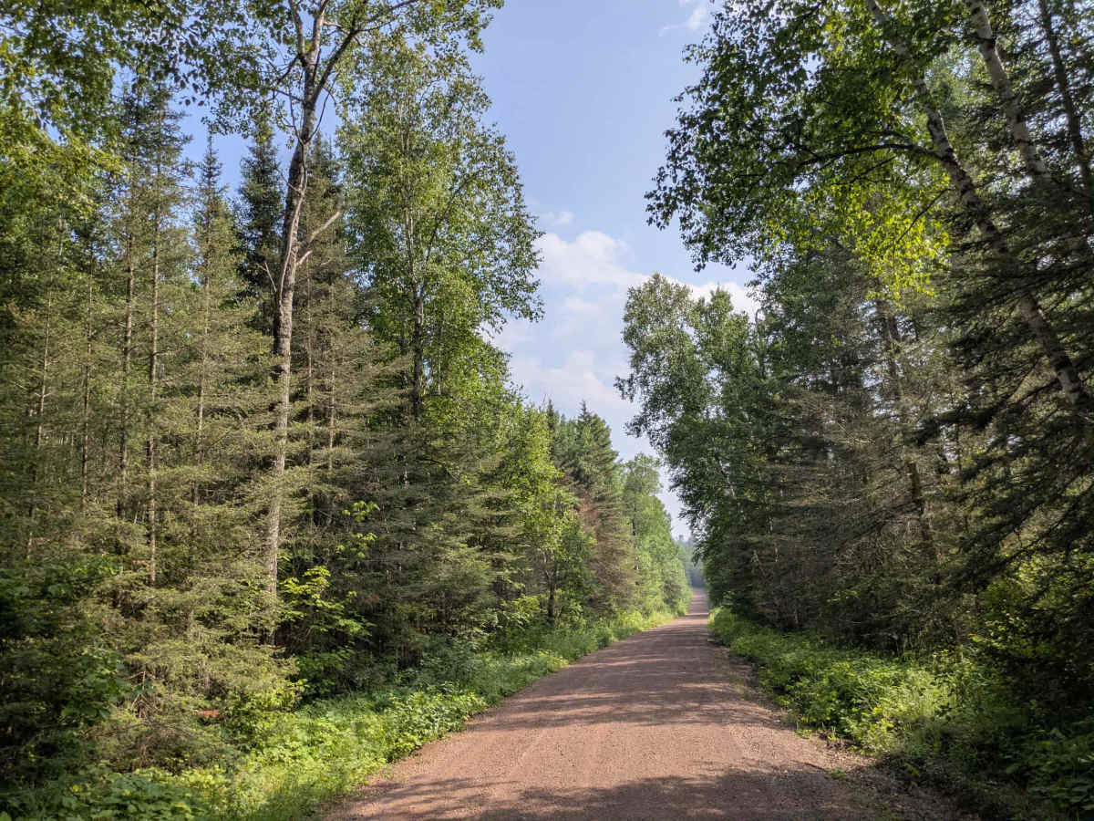 Cascade River Road trail photo