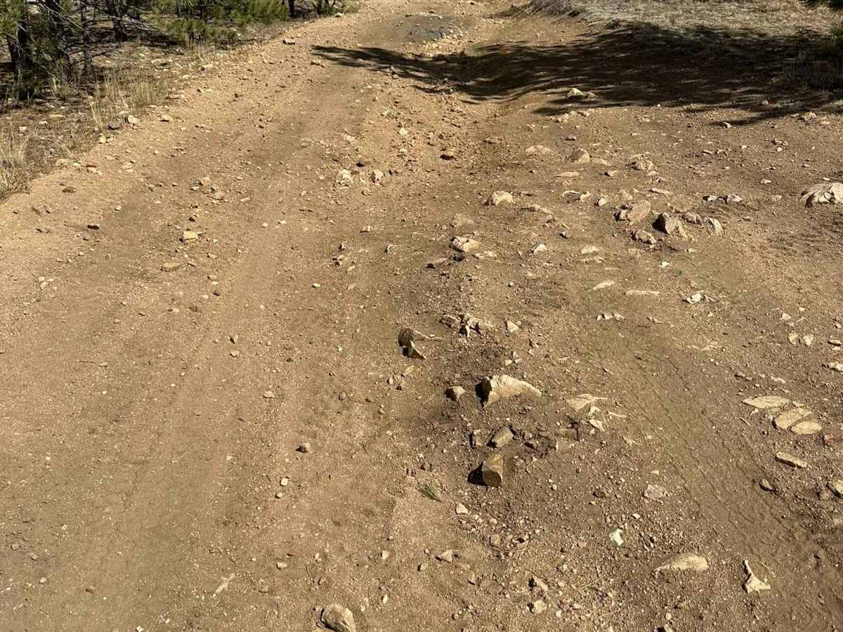Boomer Road photo 4