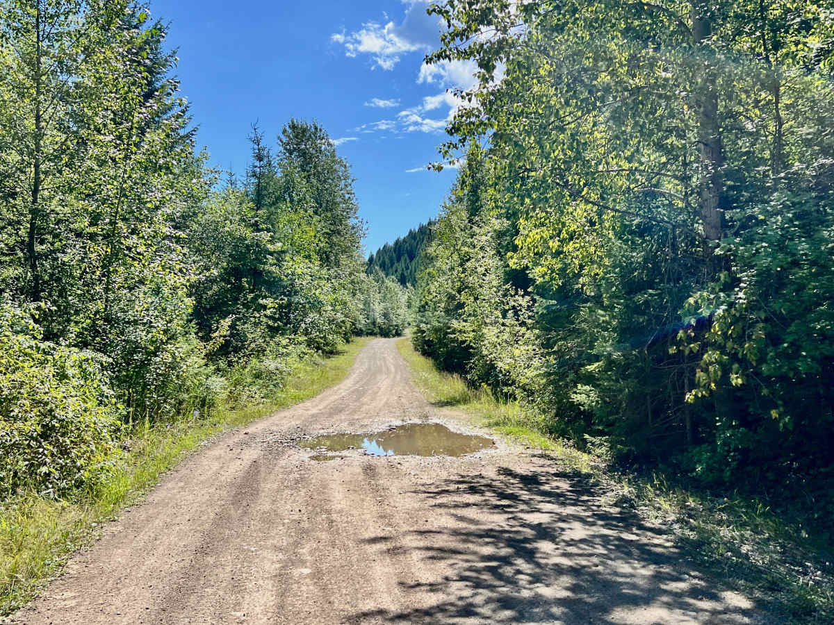 LinkLater Forest Service Road photo 6
