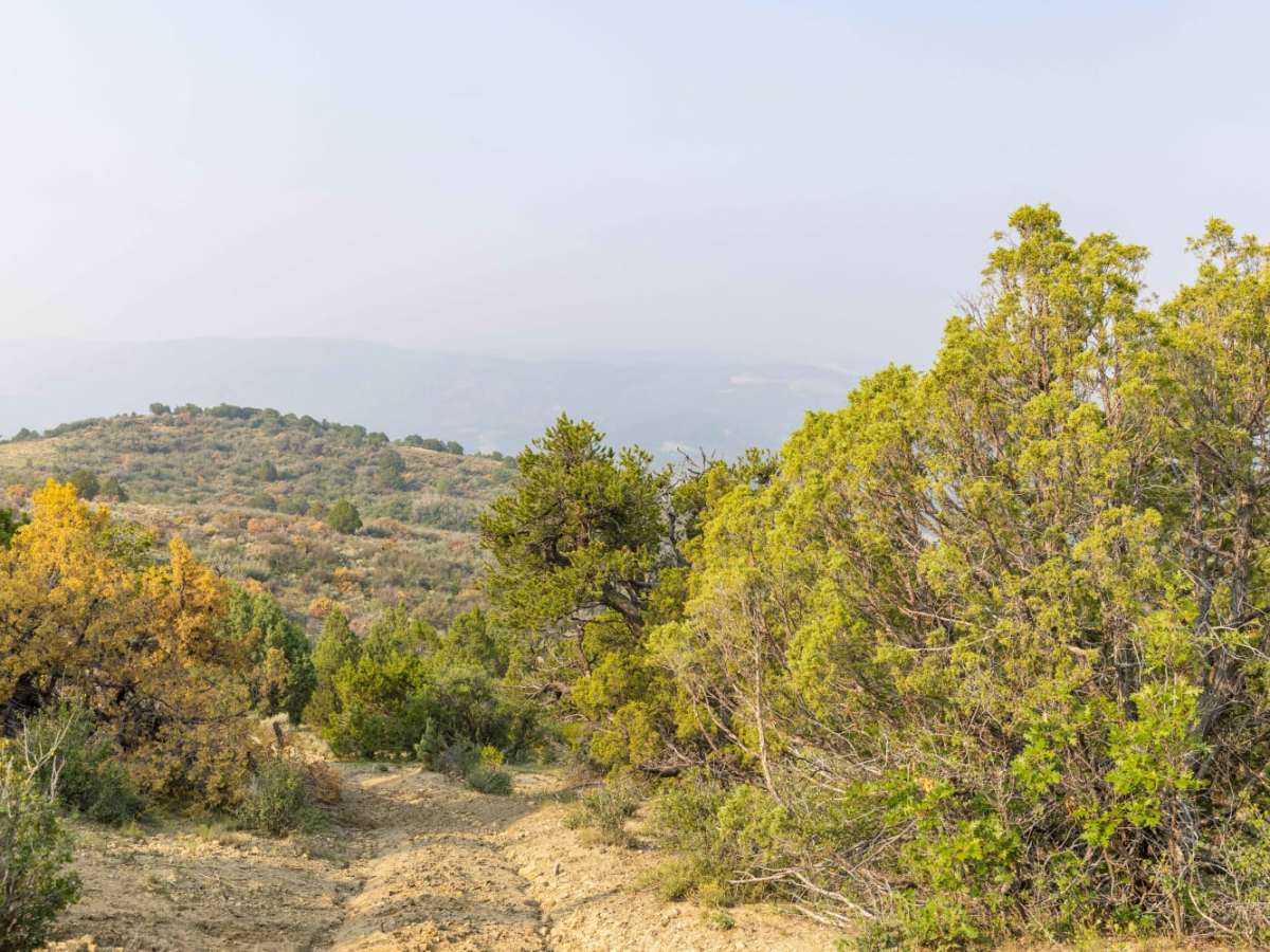 Wide Hollow trail photo