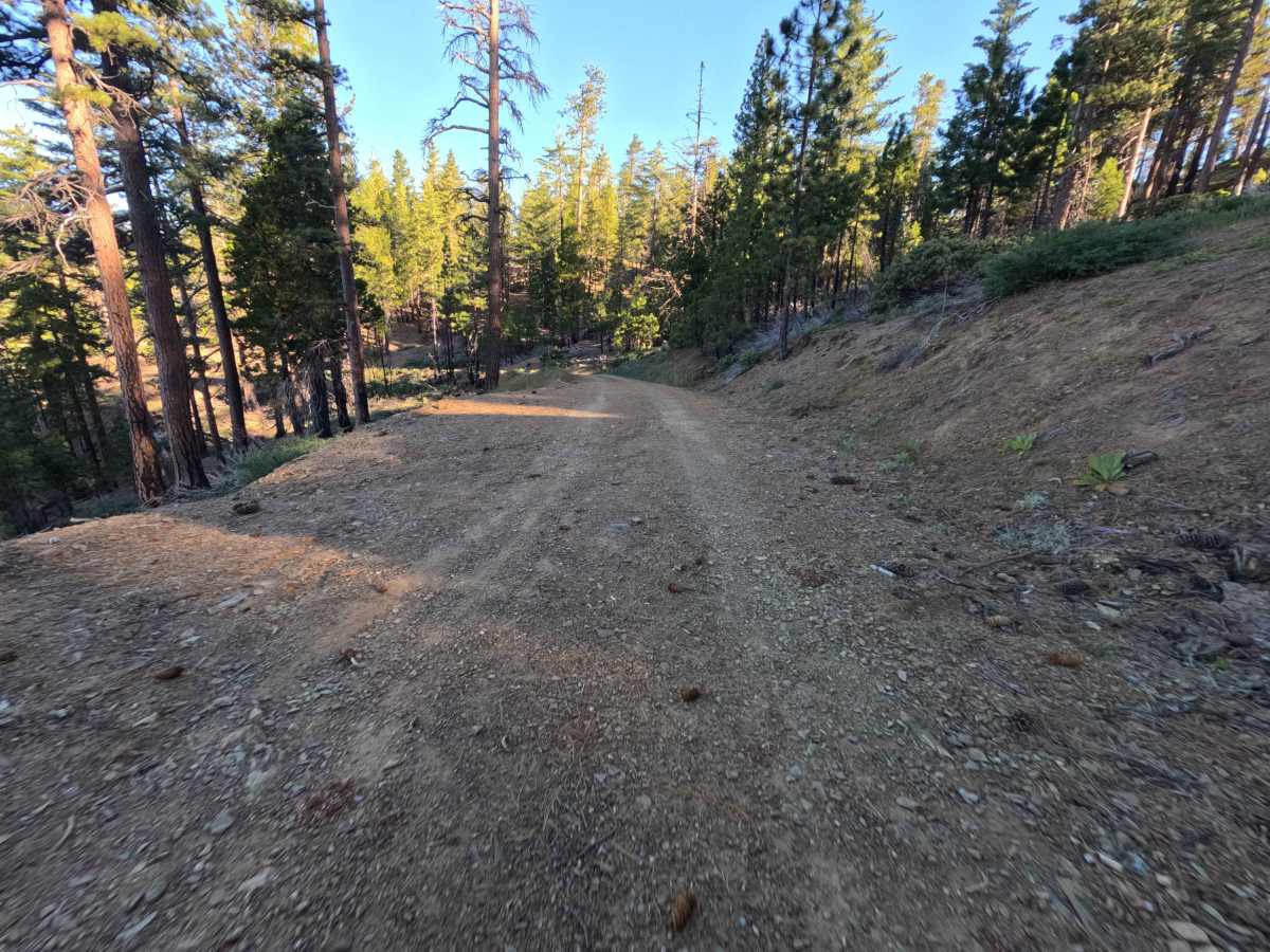 Snow Basin Creek - FS 22N10 photo 4