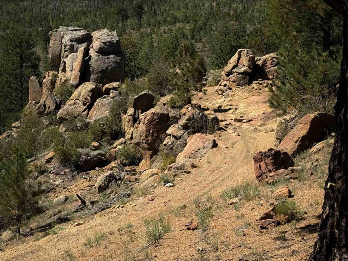 Signal Butte Trail 717 (Northwest Segment) trail photo