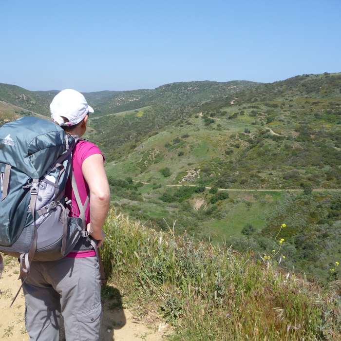 Near Crystal Cove Loop