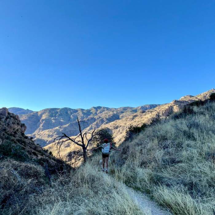 Near Arizona Trail Passage 11: Santa Catalina Mountains