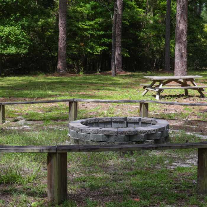 Near Loop Trail Near Loop Trail