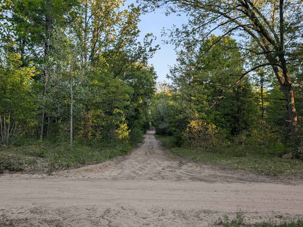 Nelson Road photo 5