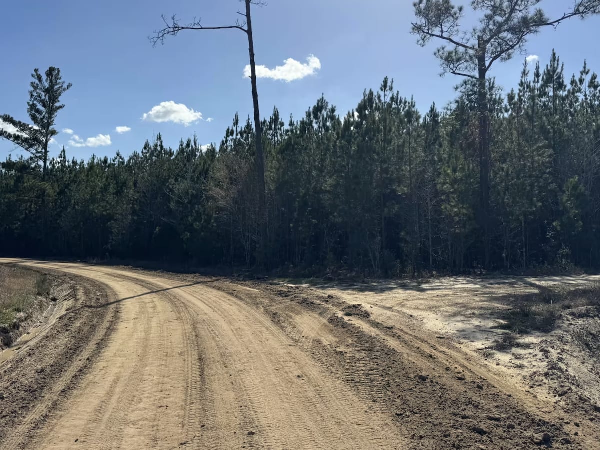 Middleton Lake Road photo 3