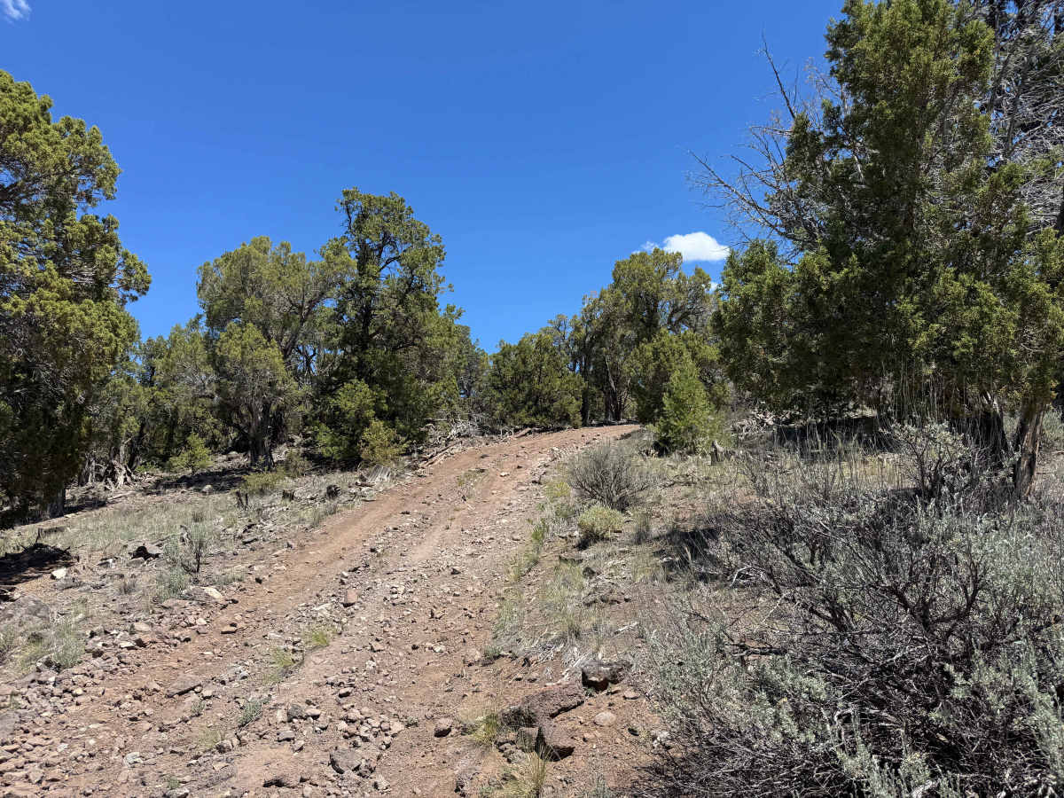 BLM 8472 photo 6