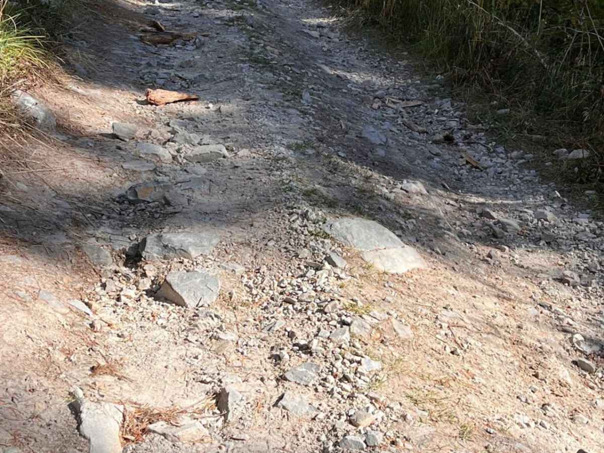 Weasel Creek photo 6