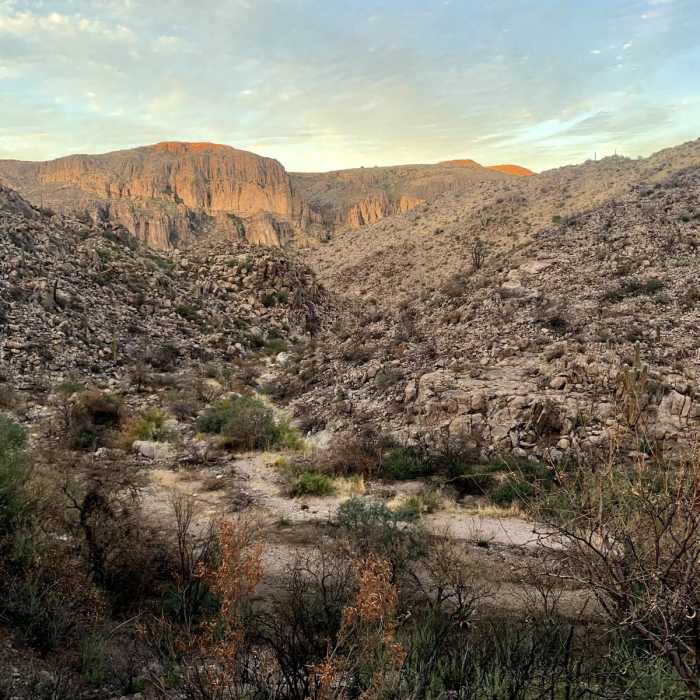 Near Dutchman Trail #104