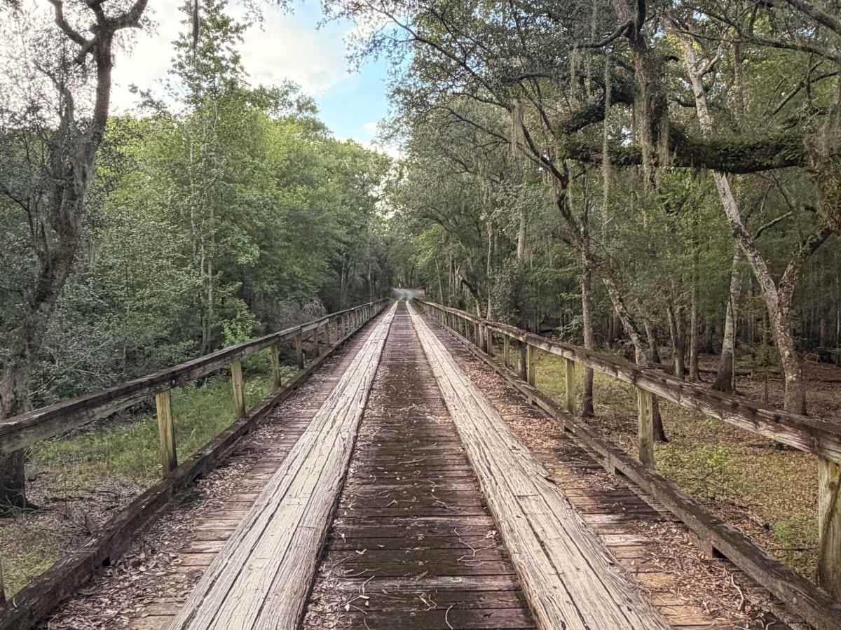 Johnson's Bridge Trail photo 6