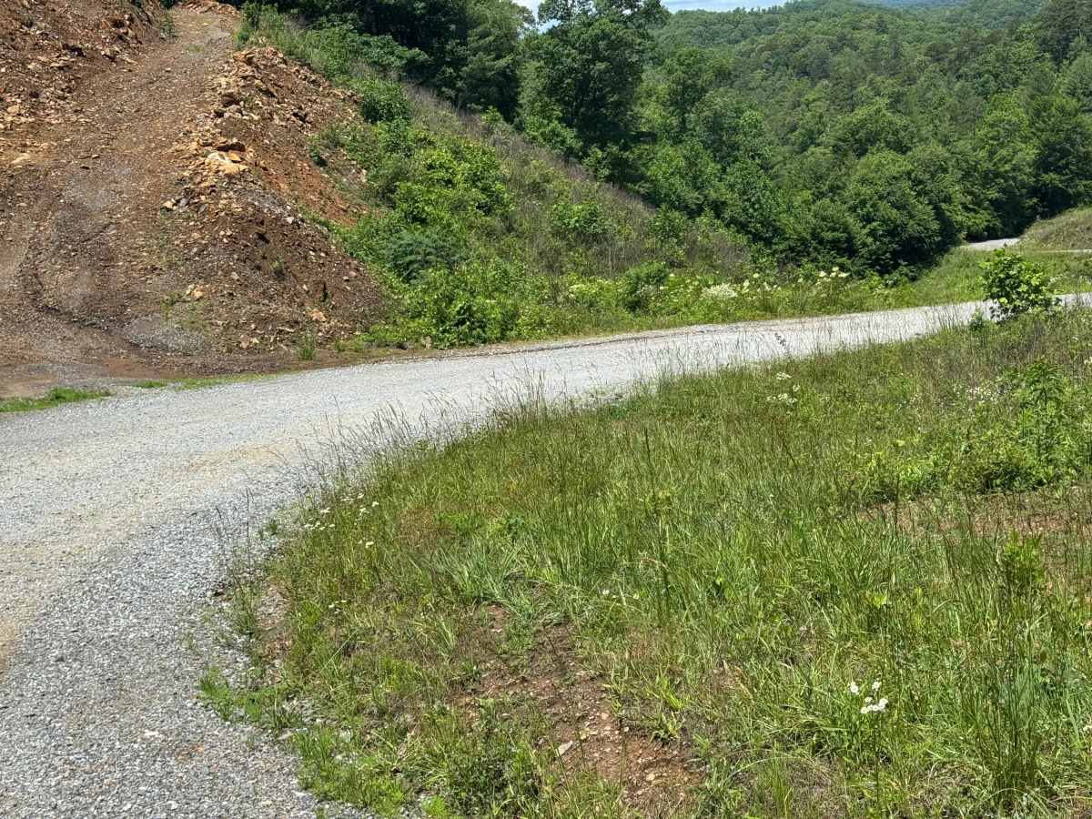 Prospect Road trail photo