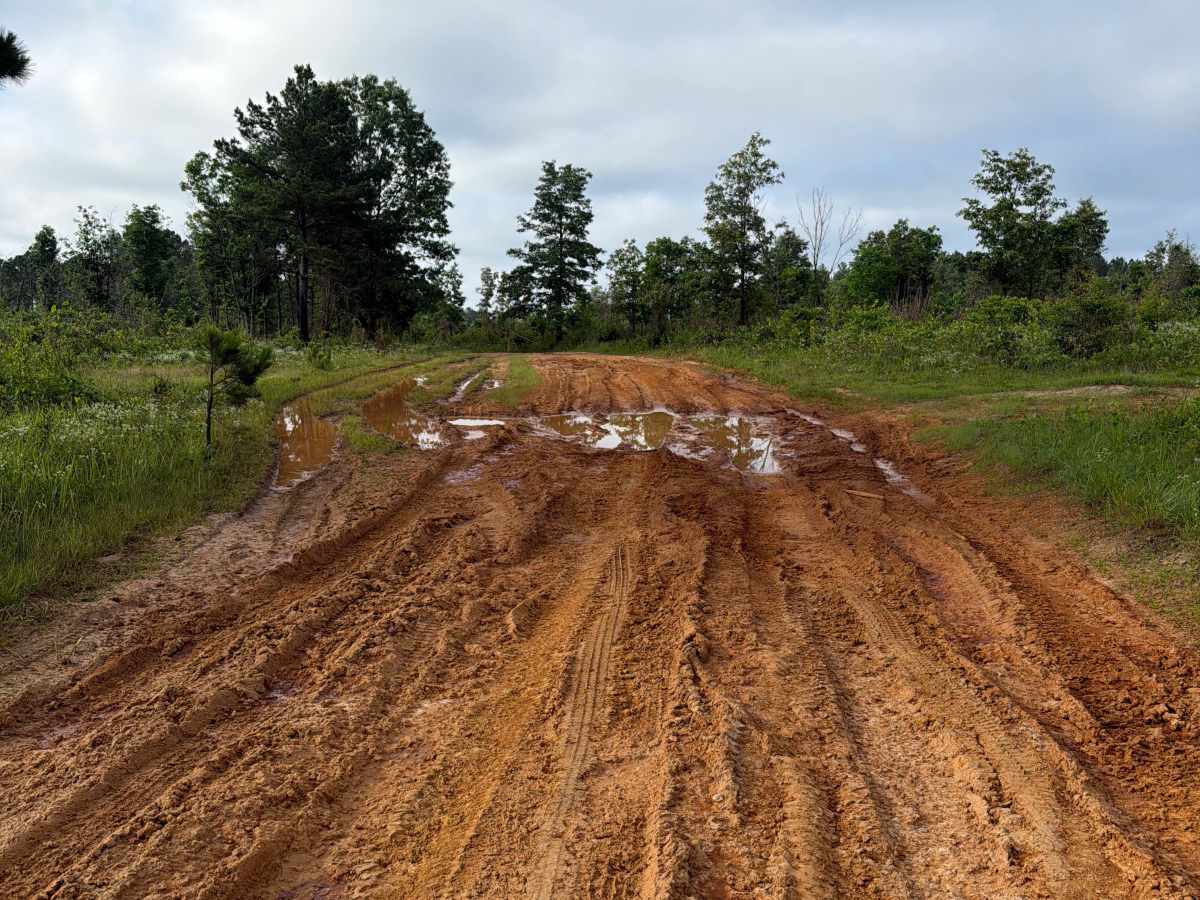Oakwood Cemetery Road - FS 105 photo 5