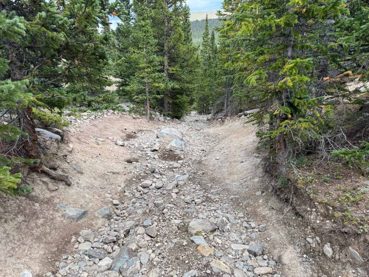 Waldorf Wagon Road photo 2
