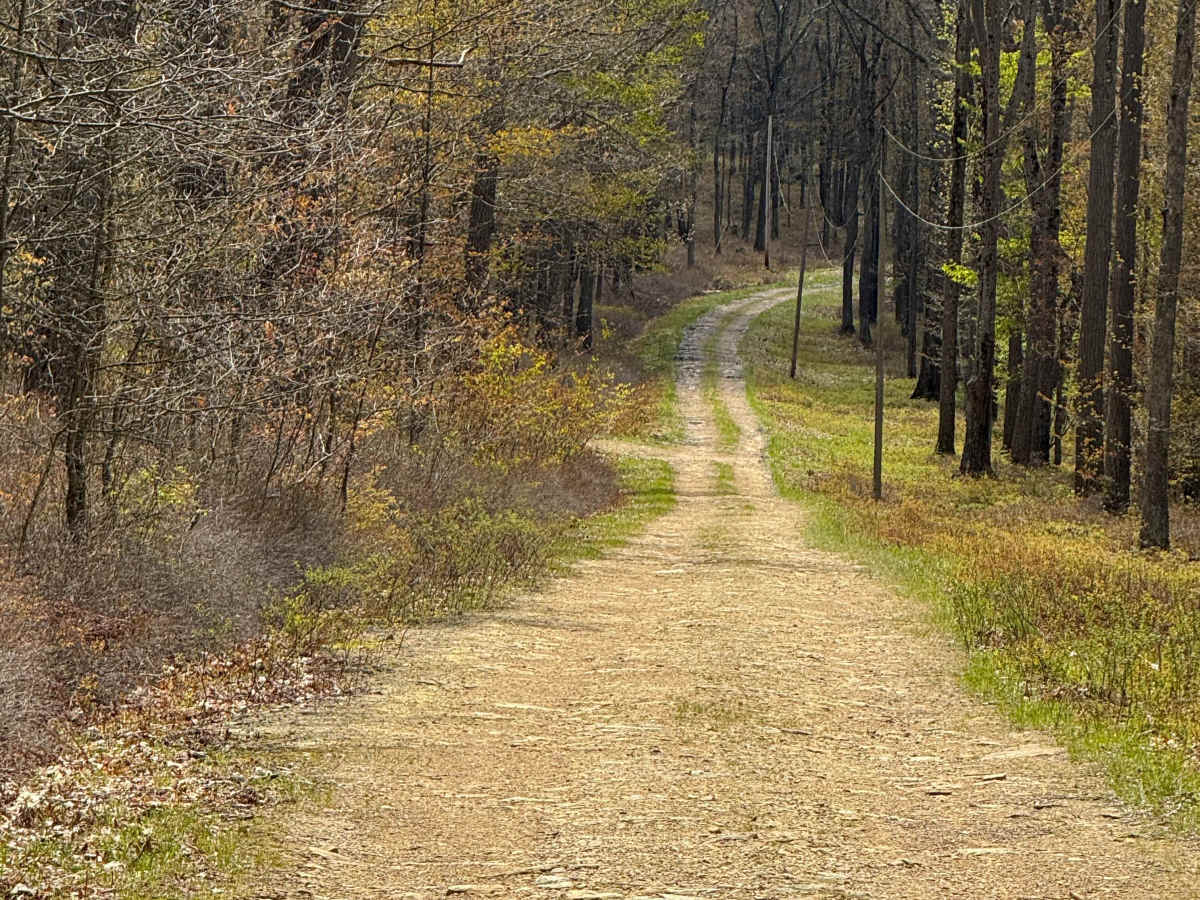 Old Dam Road photo 5