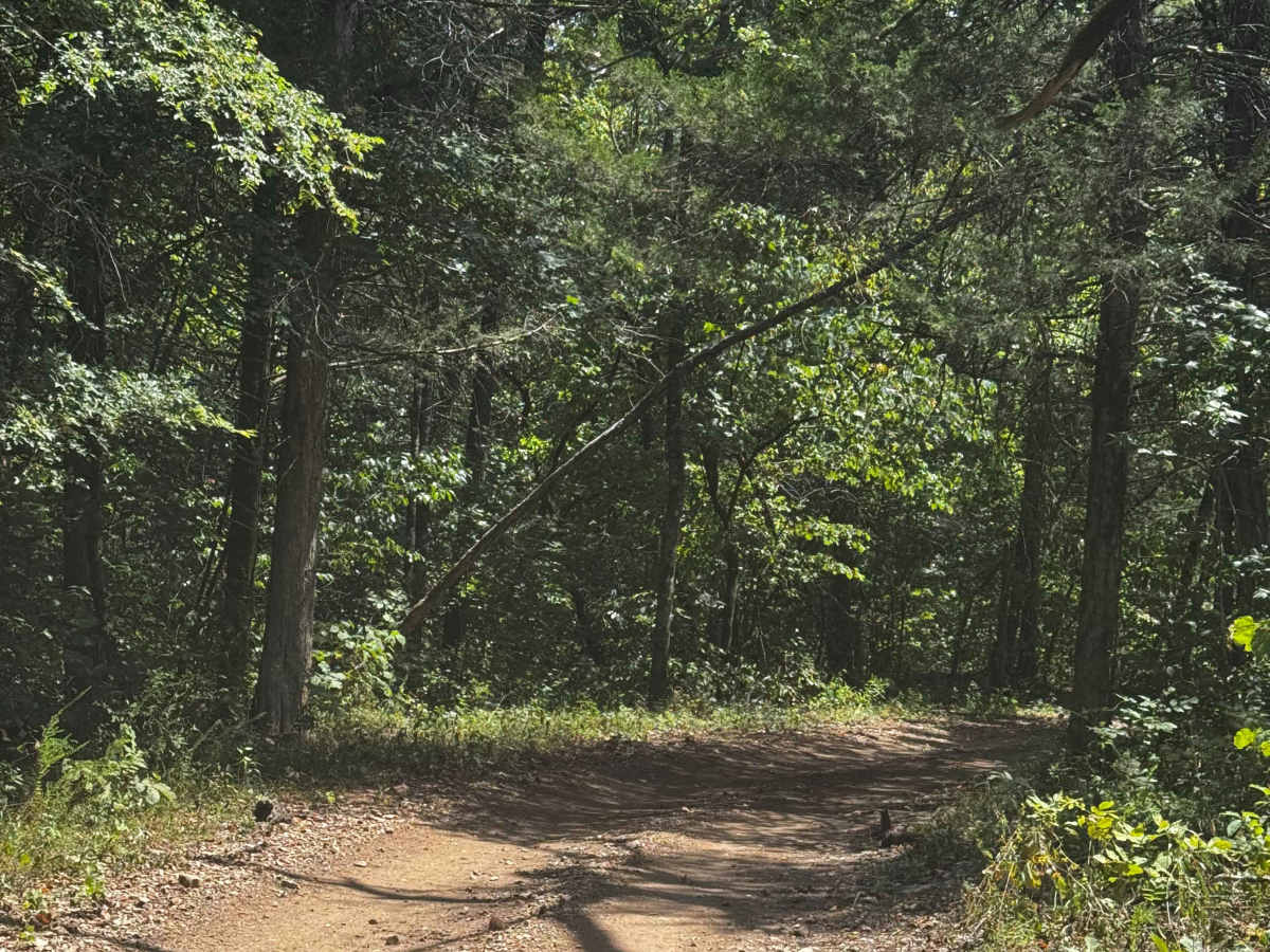 Short Cut to Trail Map photo 3