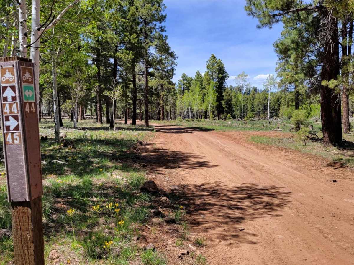 Ponderosa Loop photo 4