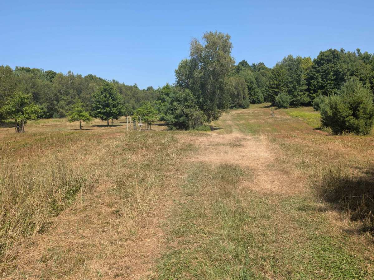 Dana Hill-Given Road Connector trail photo