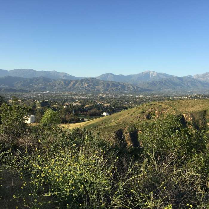 View near the top looking north. Near Schabarum-Skyline Trail - Section I