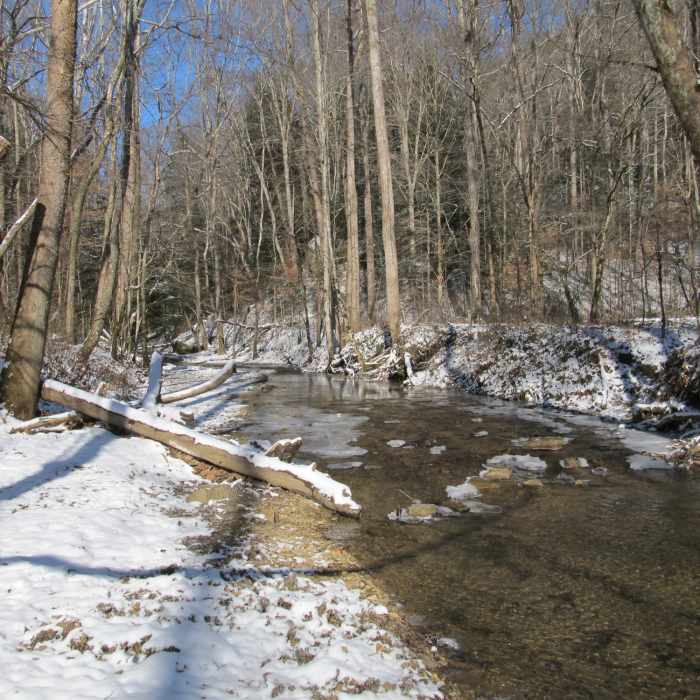 Sheltowee Trace crosses Salt Fork Creek. Watch your step. Near Sheltowee - Osborne Loop