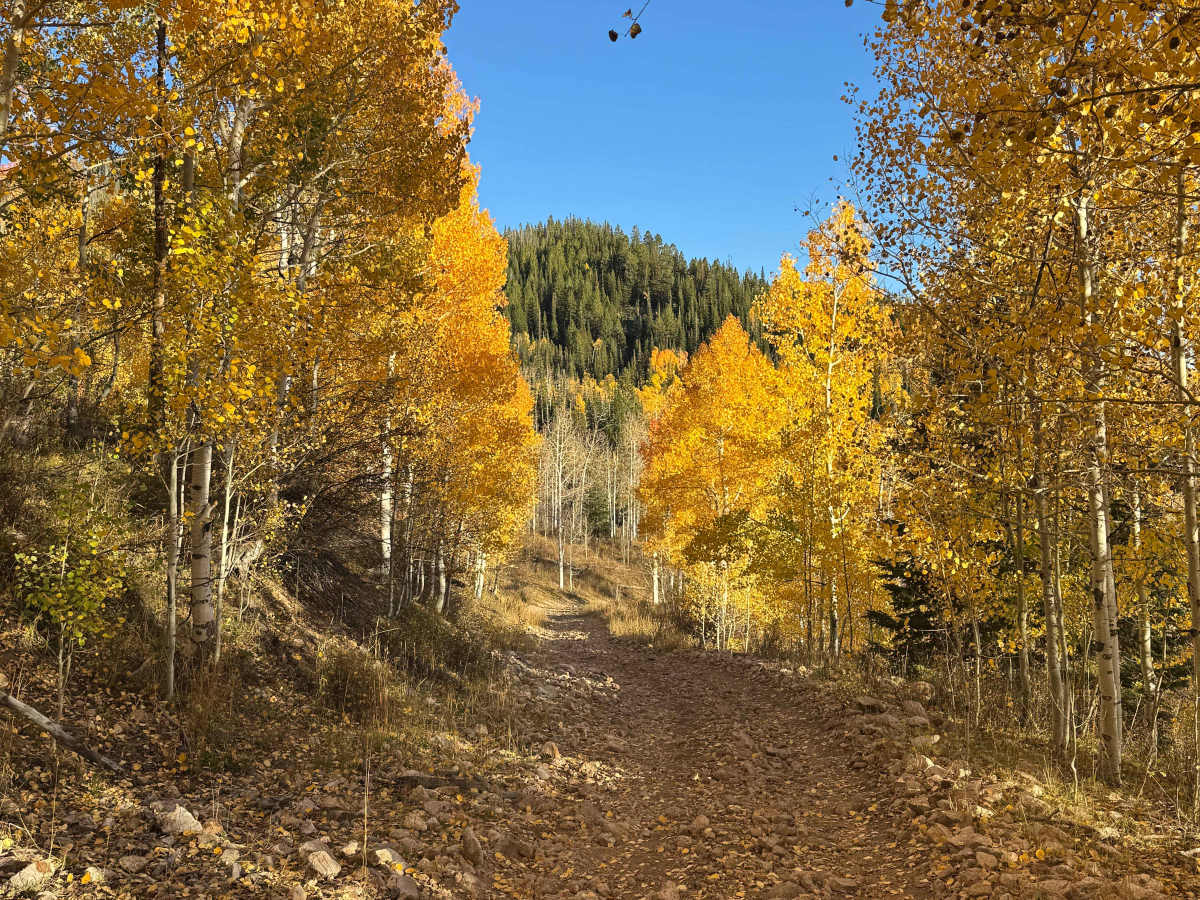 Deep Creek Road photo 4