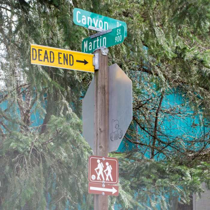 Near Ridgeline Trail System: Martin Street Trailhead to Fox Hollow Trailhead