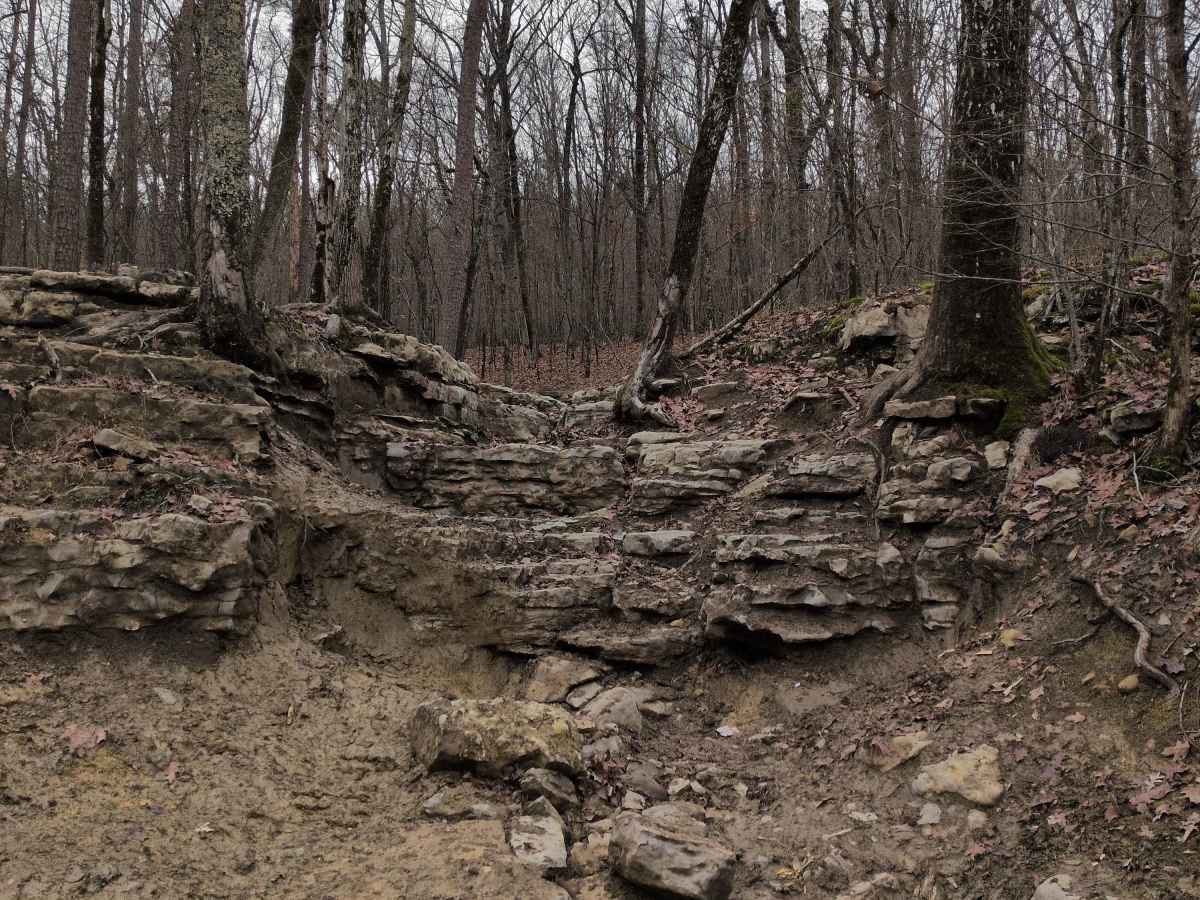 #132 Bee's Knees trail photo