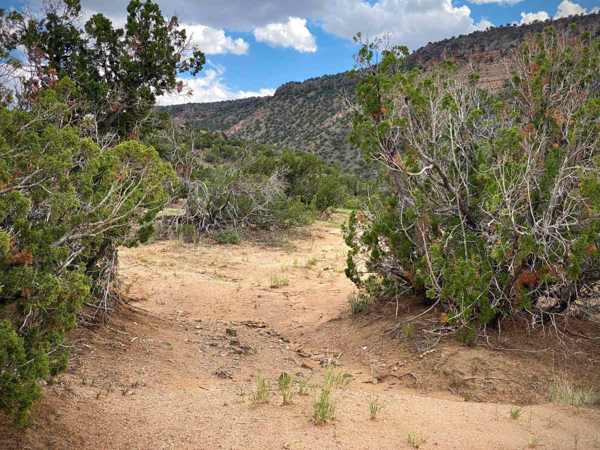 Upper Diablo Canyon Rd photo 4