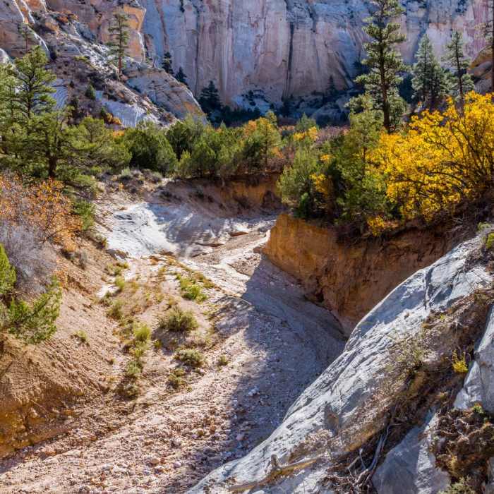 Near Lick Wash Hike Near Lick Wash Hike