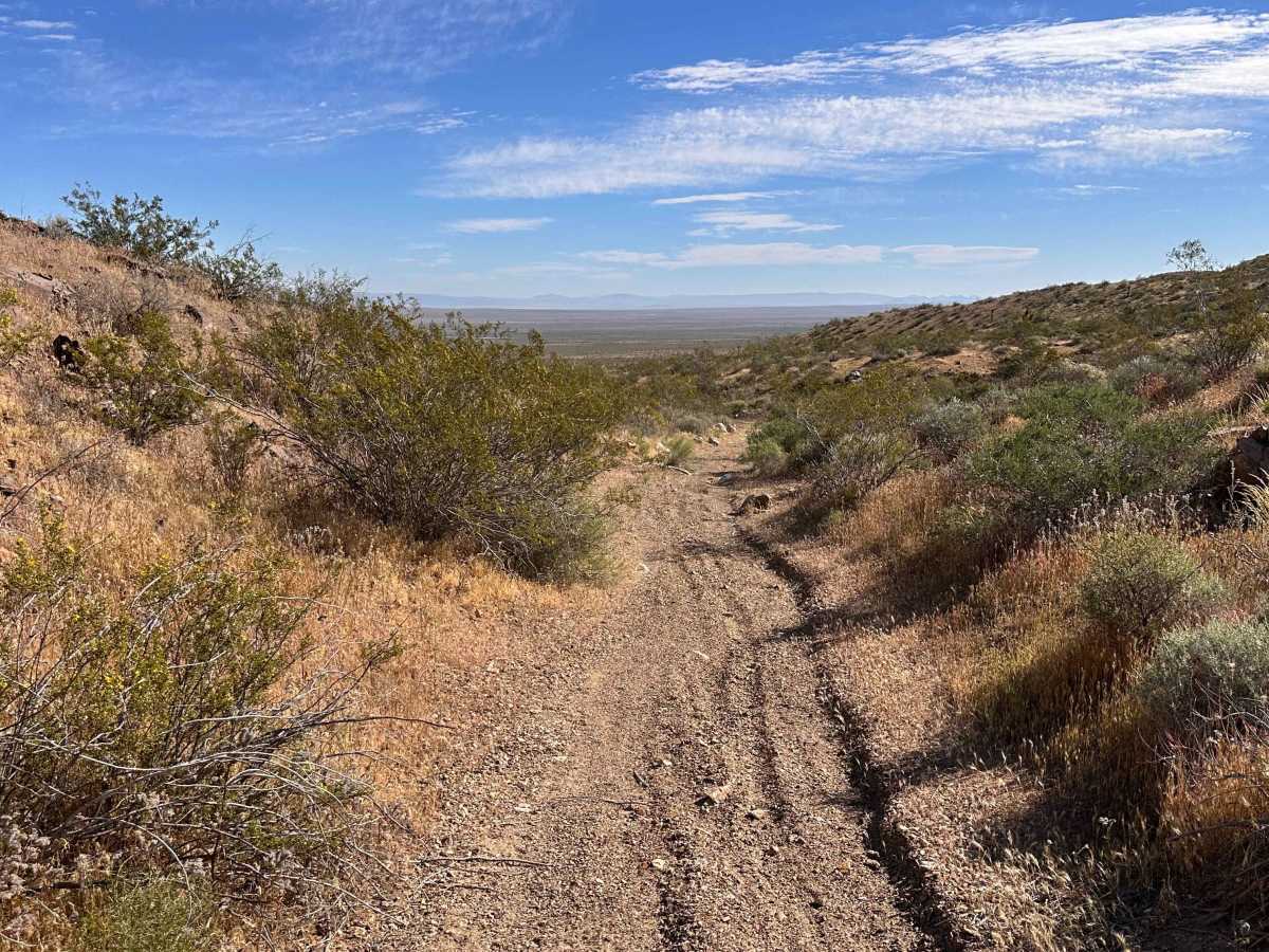 Devil’s Saddle trail photo