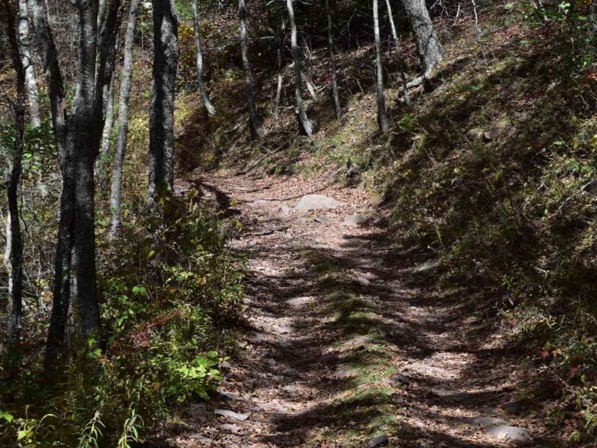 Bother Flagpole Knob Trail photo 3