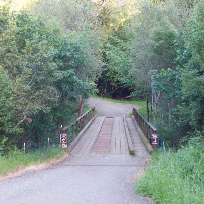 Near Toyon Trail