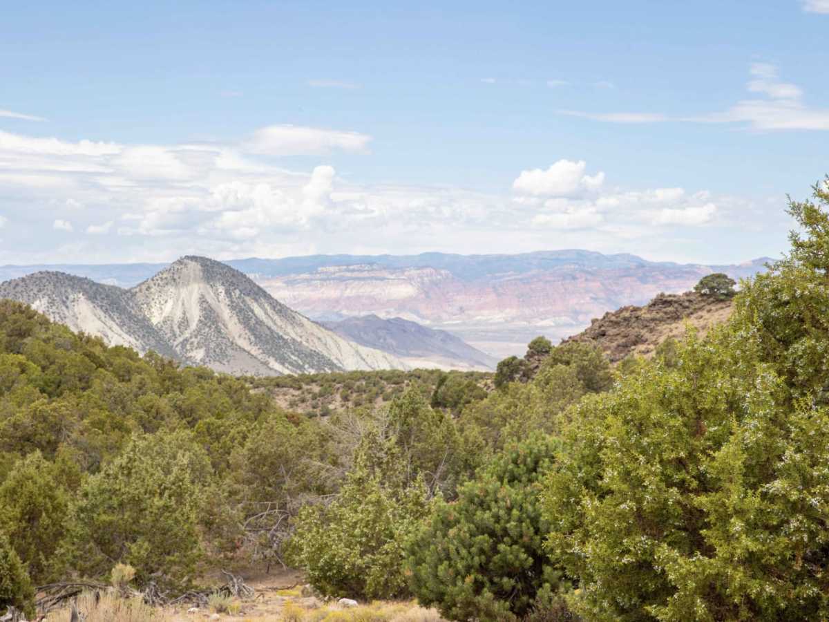 Black Mountain Road trail photo
