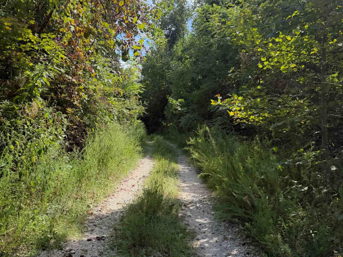 Dry Creek Trail   photo 6