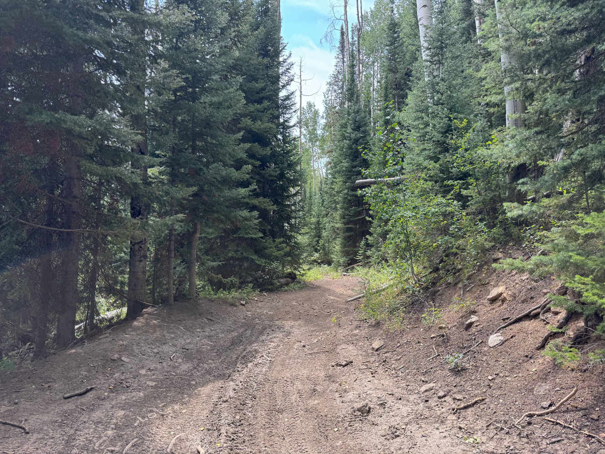 Upper Ways Gulch Road photo 4
